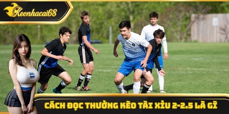 Cách đọc thưởng kèo tài xỉu 2-2.5 là gì