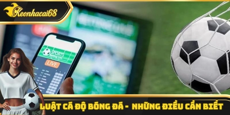 Luật Cá Độ Bóng Đá – Quy Định Pháp Lý Và Những Điều Cần Biết